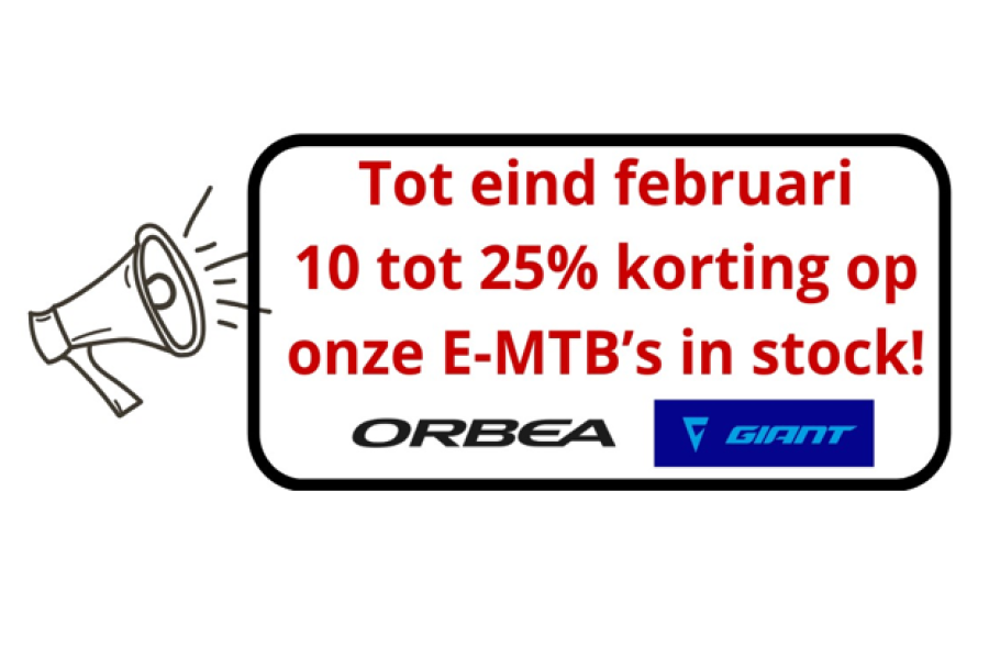 Schermafbeelding 2024-01-31 135156